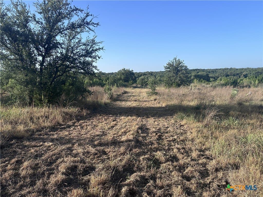 25 acres in Travis County - photo 41