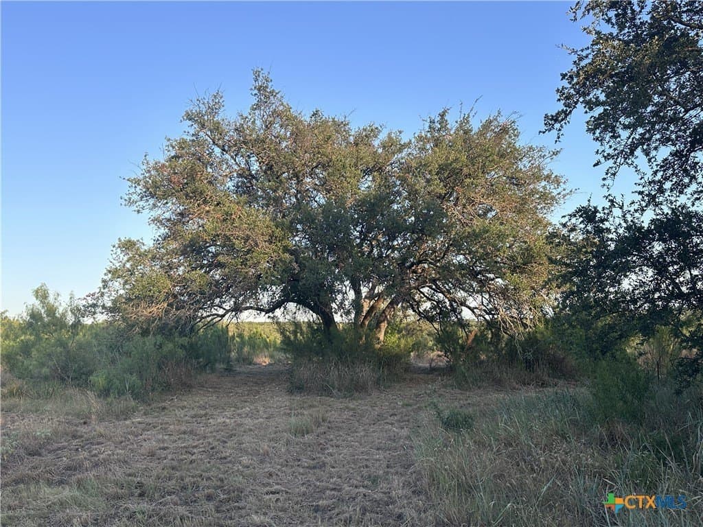 25 acres in Travis County - photo 33