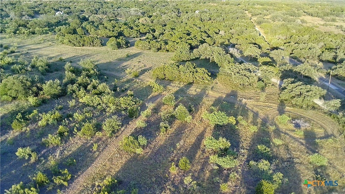 25 acres in Travis County - photo 12