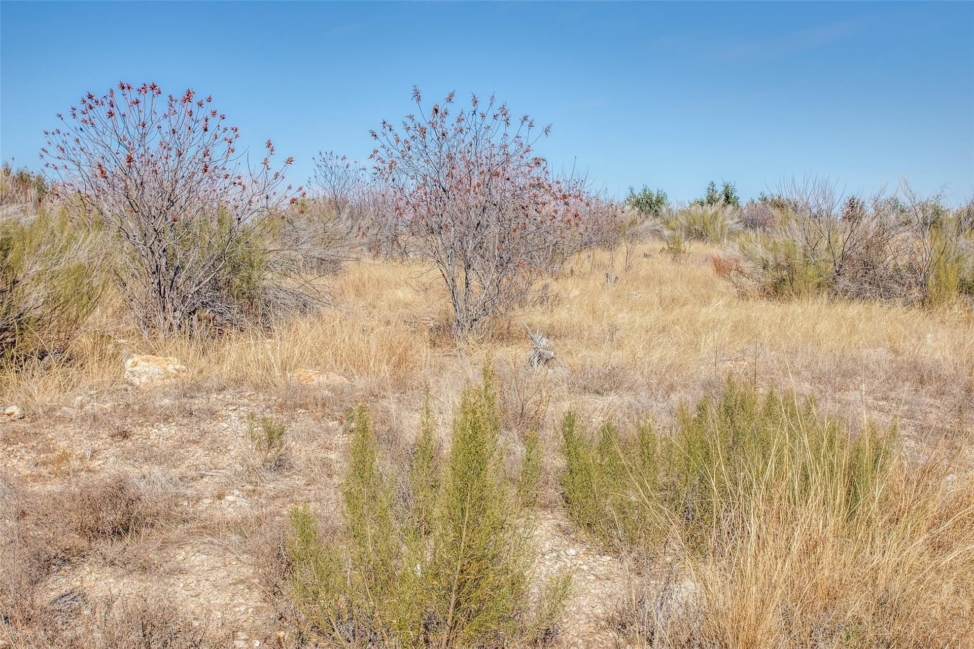 2.93 acres in Palo Pinto County - photo 13