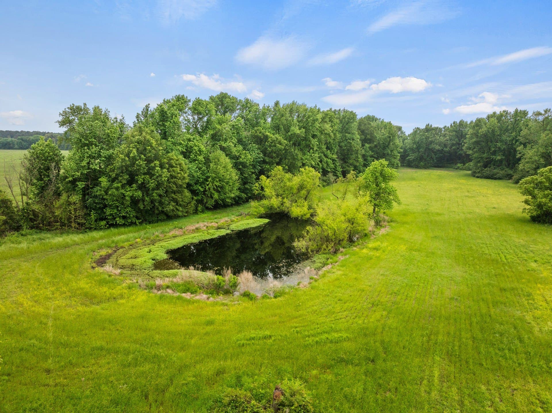 24.98 acres in Camp County - photo 34