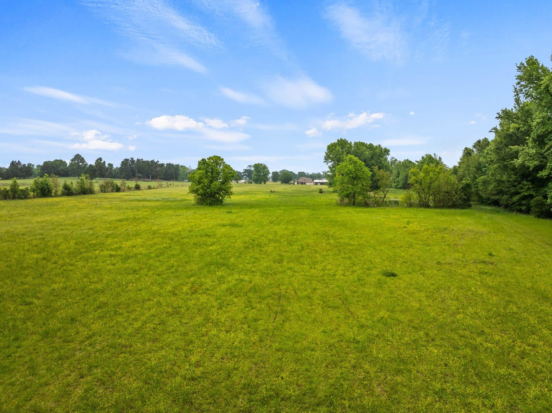 24.98 acres in Camp County - photo 35