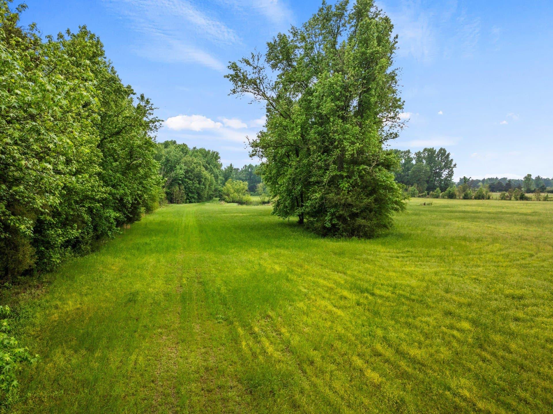 24.98 acres in Camp County - photo 32