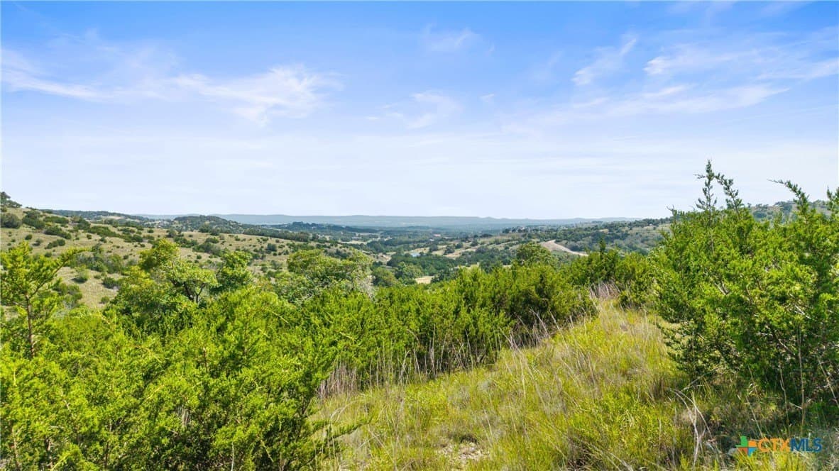 8.3 acres in Blanco County - photo 31