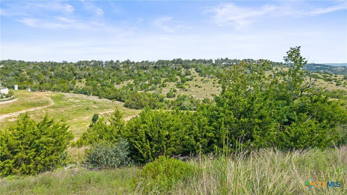 8.3 acres in Blanco County - photo 25