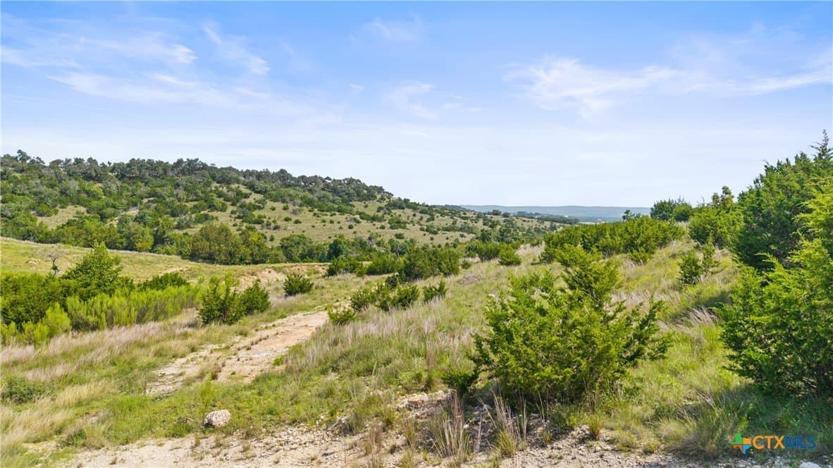 8.3 acres in Blanco County - photo 20