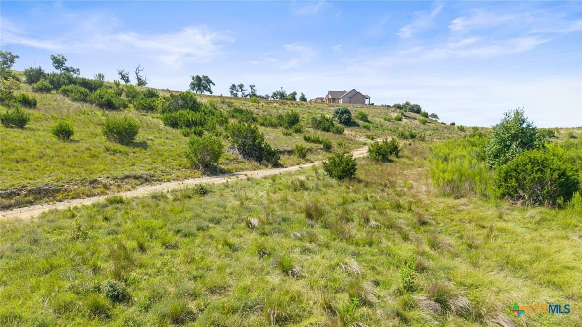 8.3 acres in Blanco County - photo 17