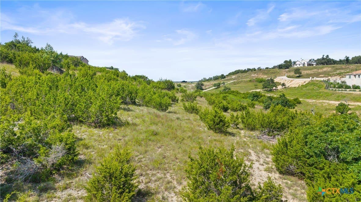 8.3 acres in Blanco County - photo 33
