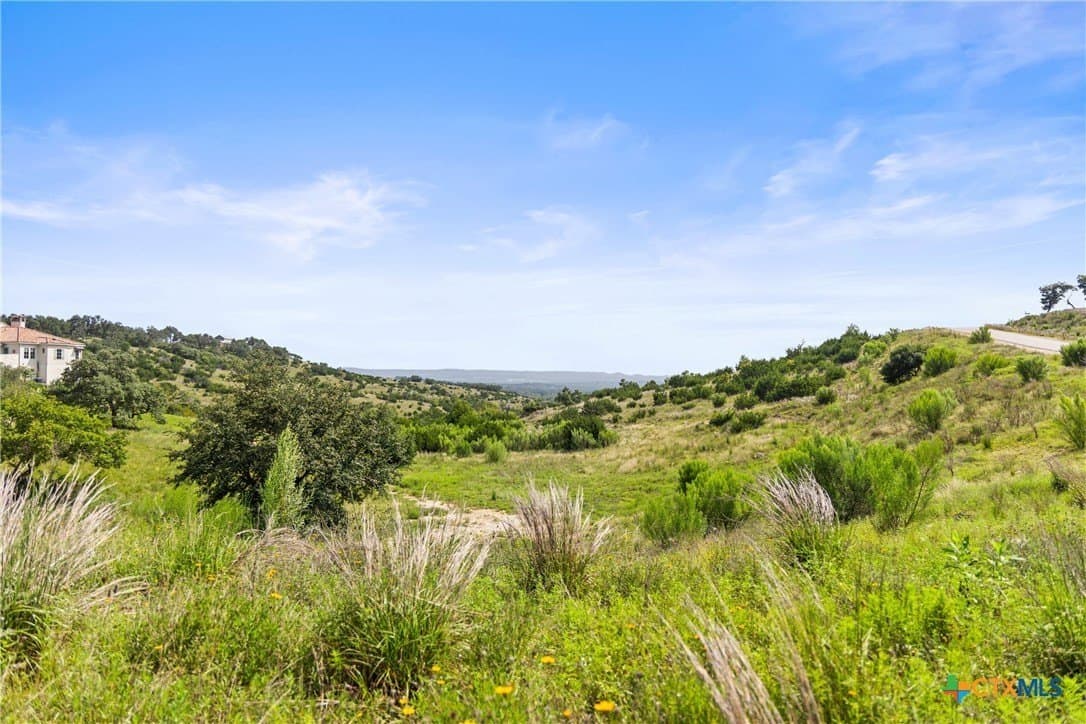 8.3 acres in Blanco County gallery image 3