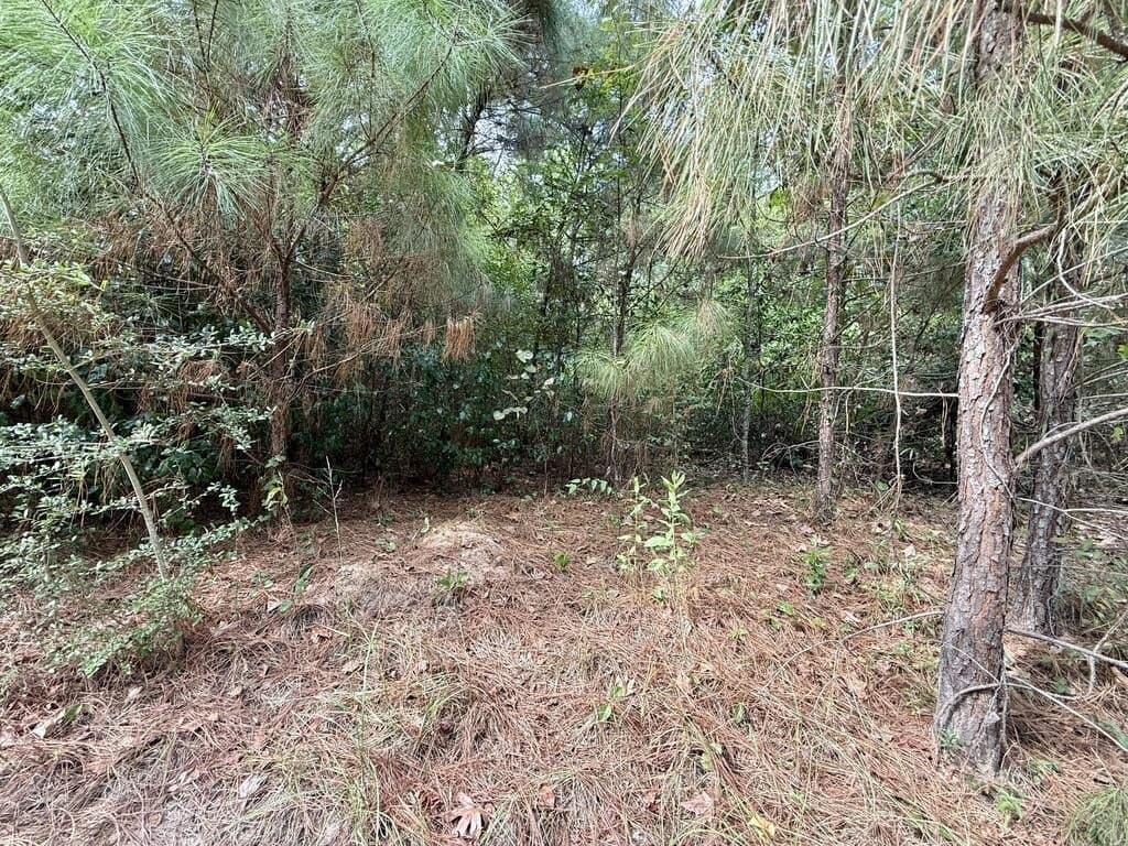 0.27 acres in Texas County - photo 3
