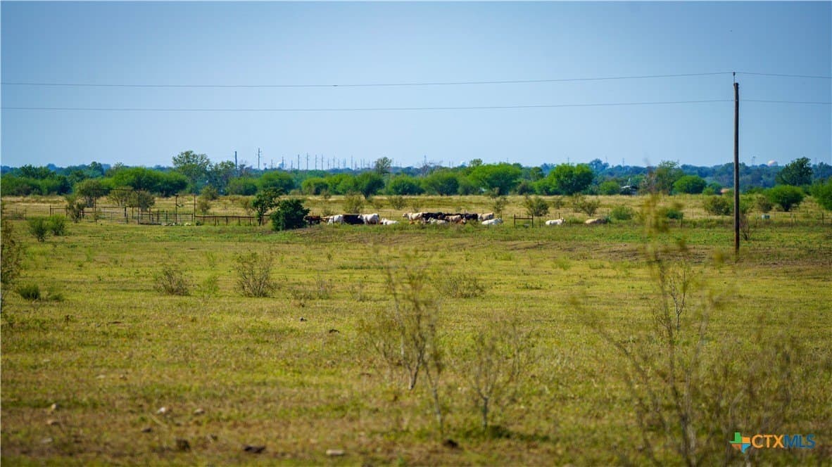 80 acres in Guadalupe County - photo 29