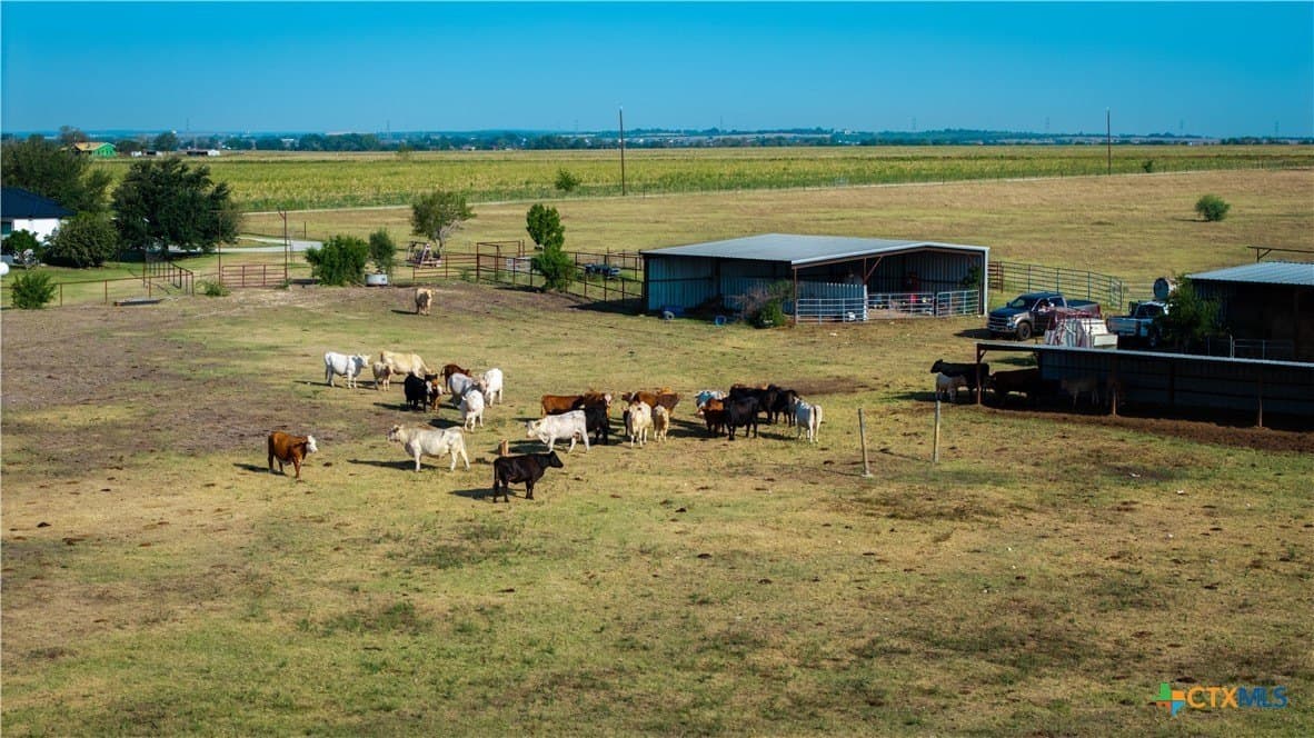 80 acres in Guadalupe County - photo 14
