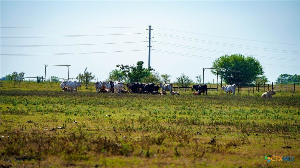80 acres in Guadalupe County - photo 18