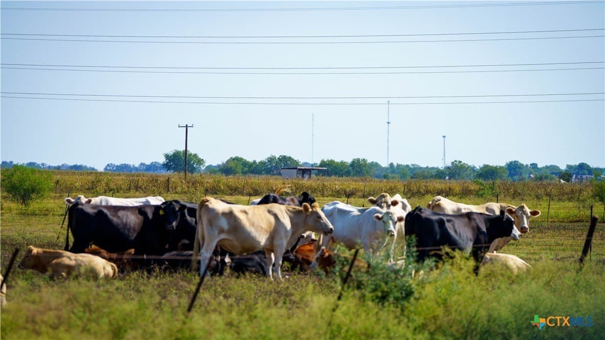 80 acres in Guadalupe County - photo 15