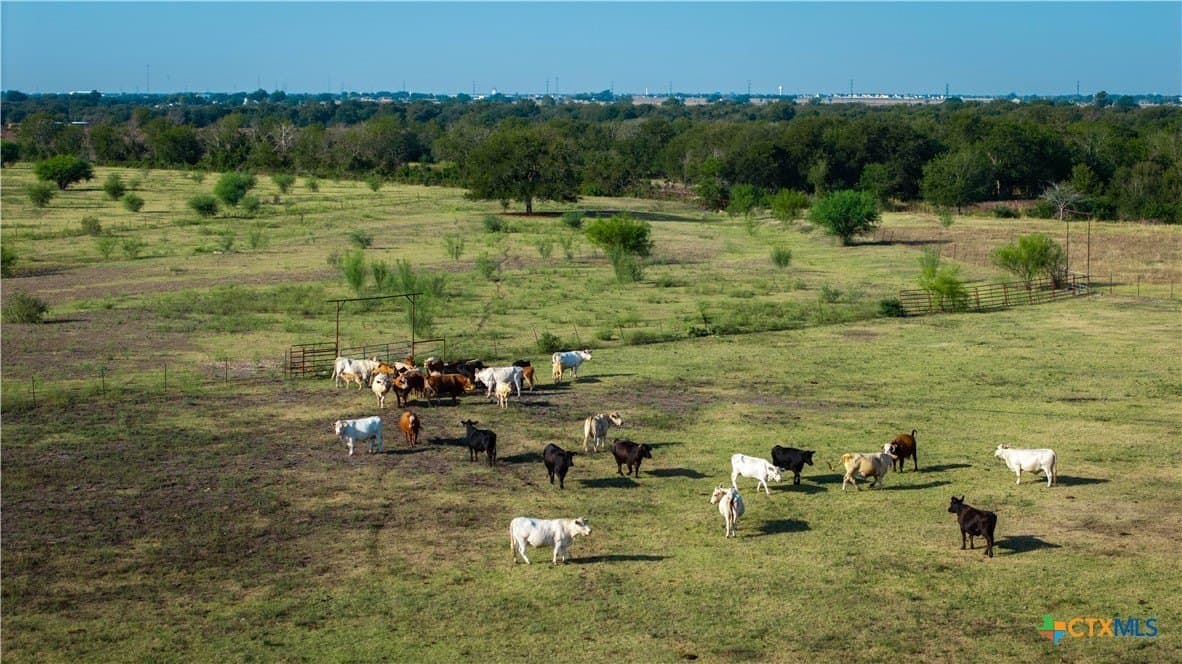 80 acres in Guadalupe County - photo 35