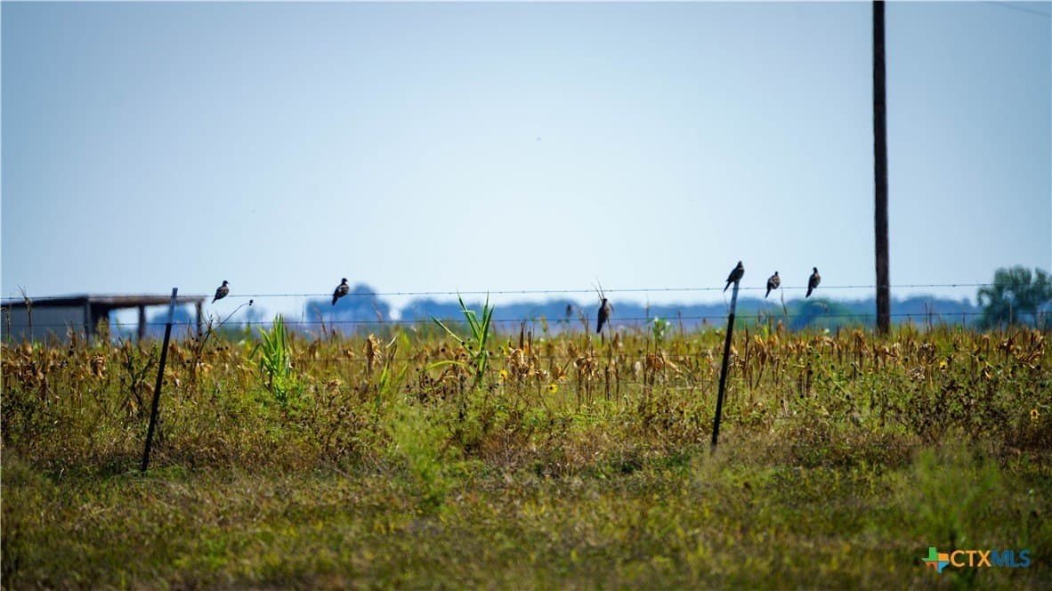 80 acres in Guadalupe County - photo 30
