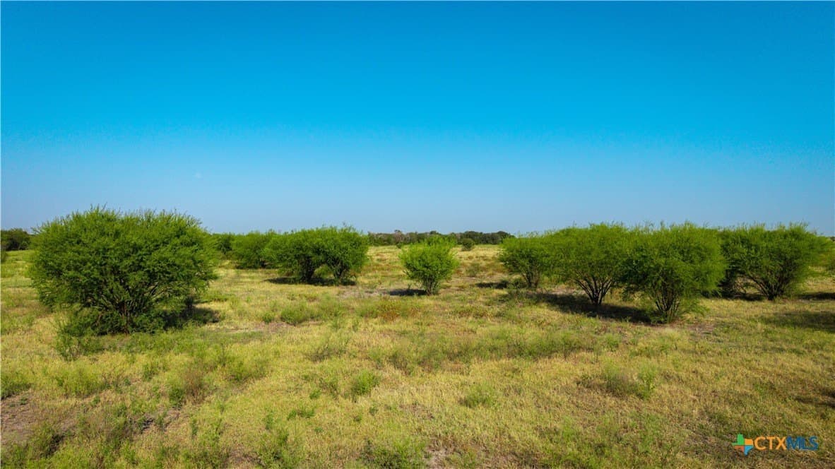 80 acres in Guadalupe County - photo 19