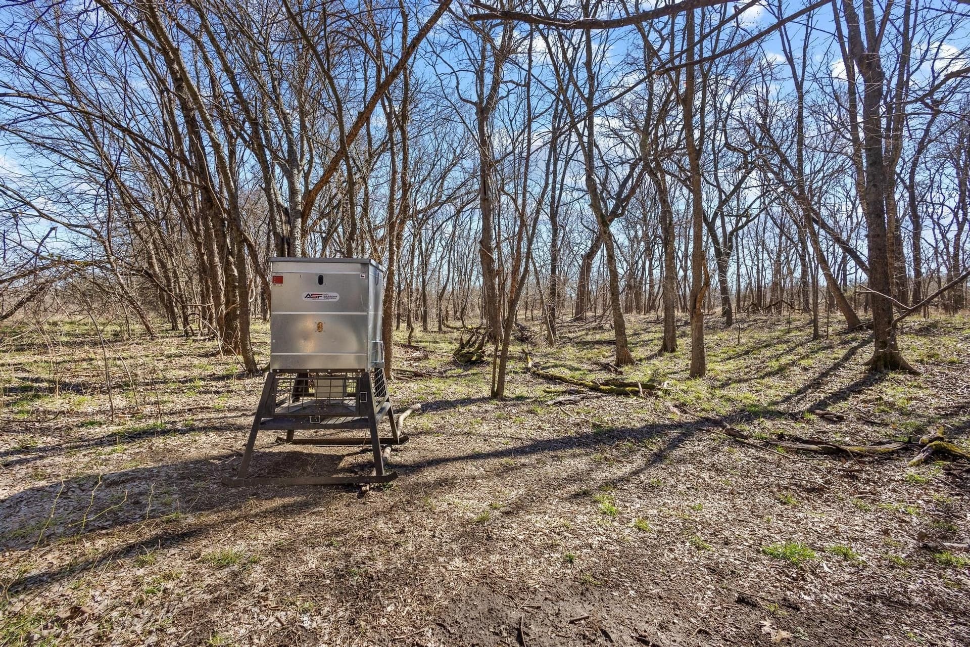 594.65 acres in Lamar County - photo 25