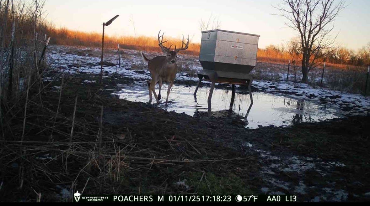 594.65 acres in Lamar County - photo 31