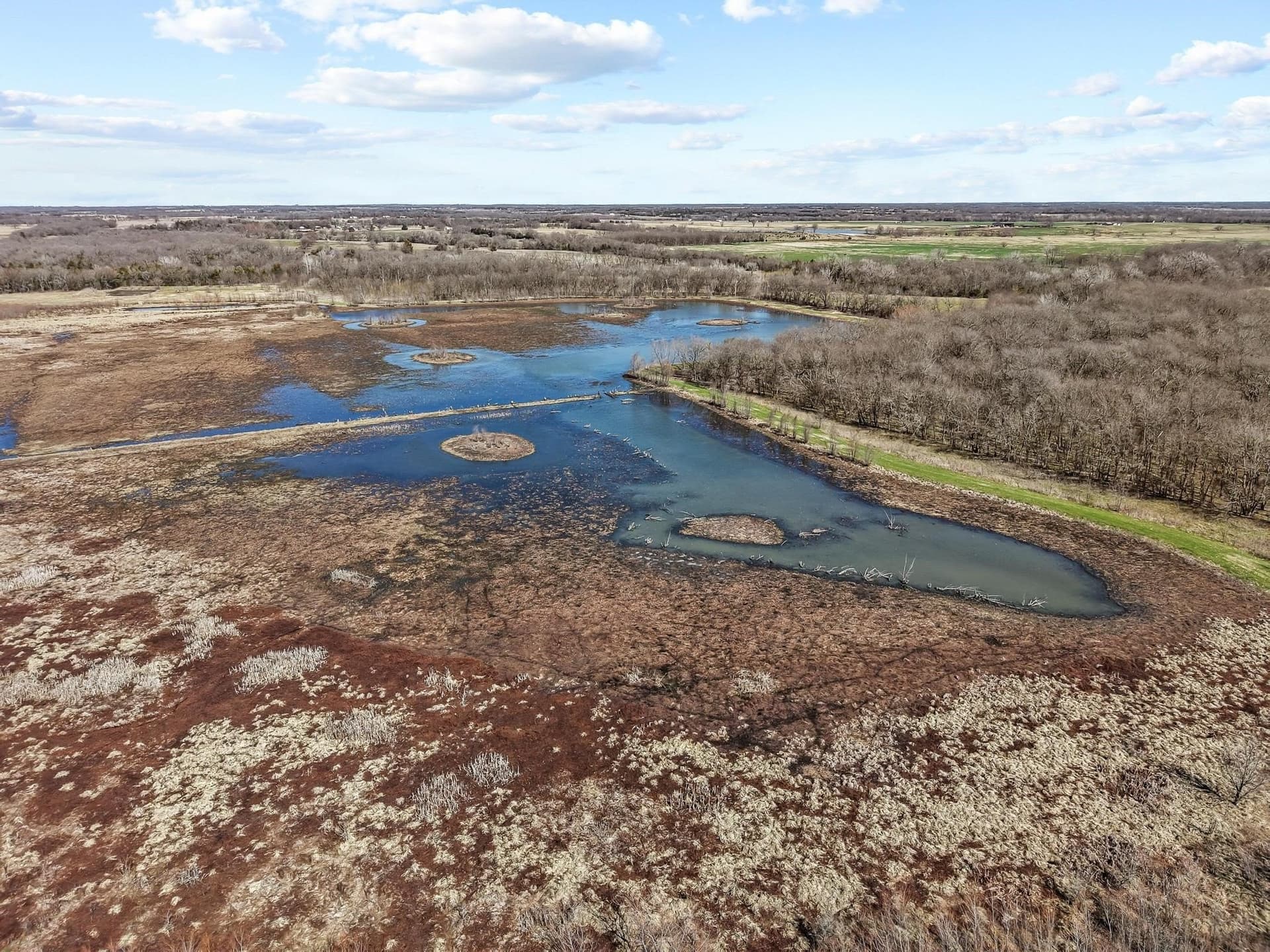 594.65 acres in Lamar County - photo 16
