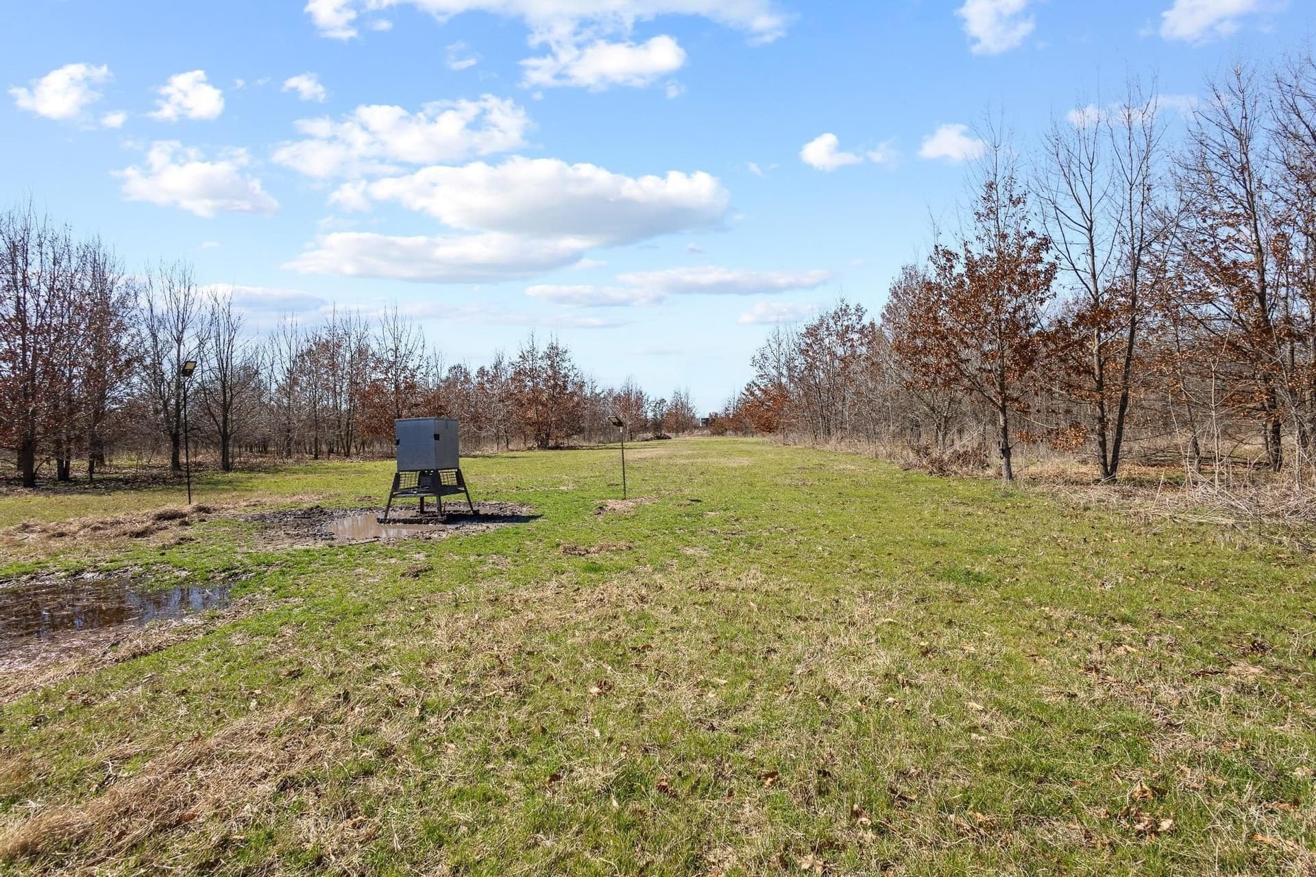 594.65 acres in Lamar County - photo 21