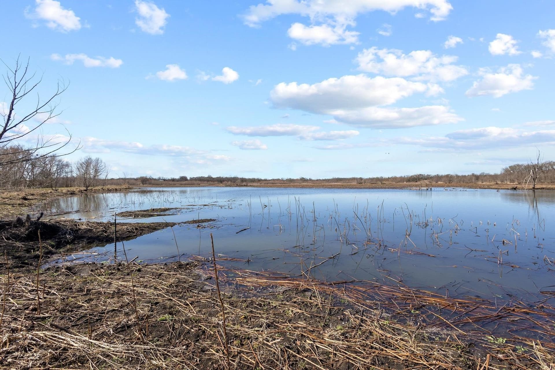 594.65 acres in Lamar County - photo 20
