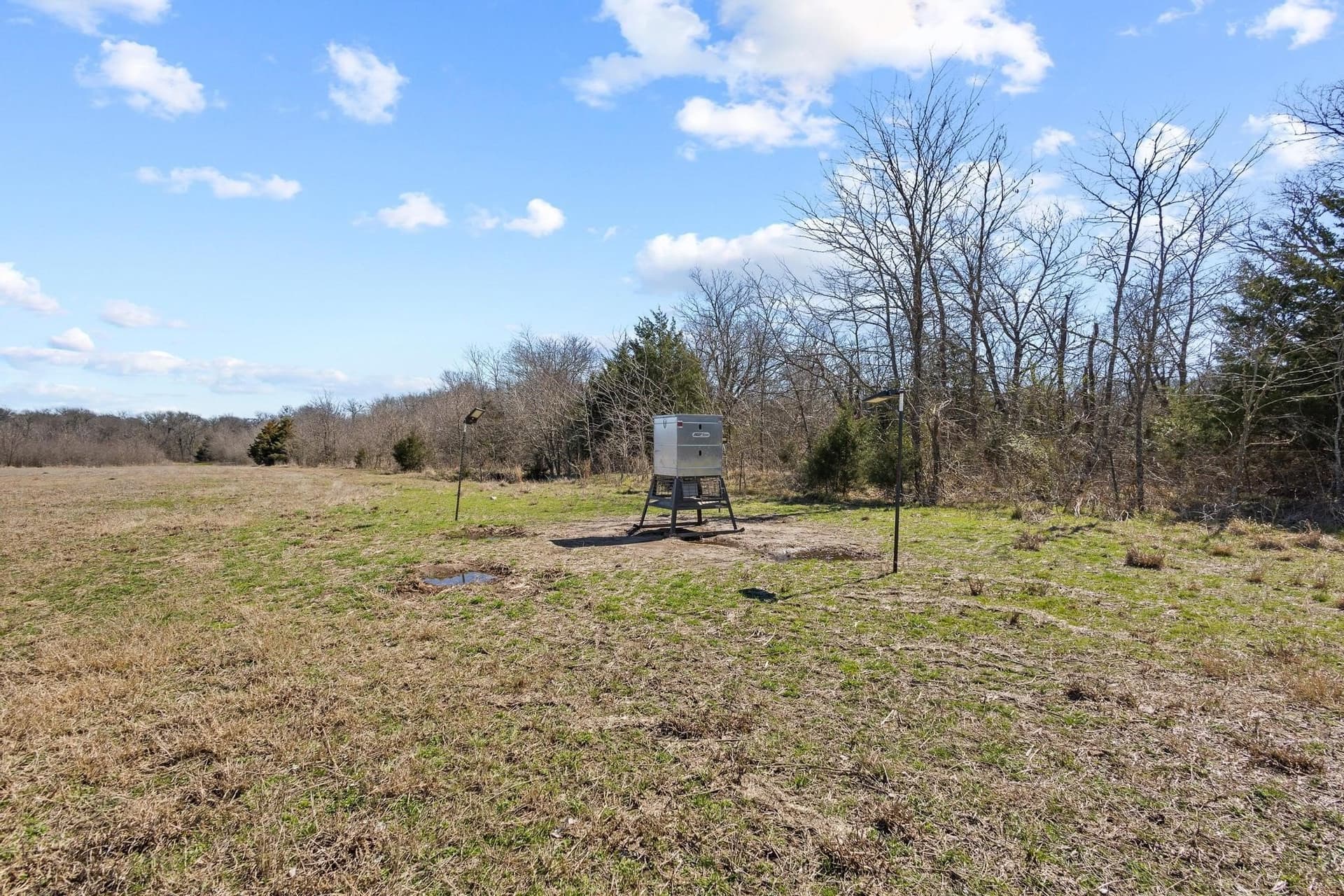 594.65 acres in Lamar County - photo 18