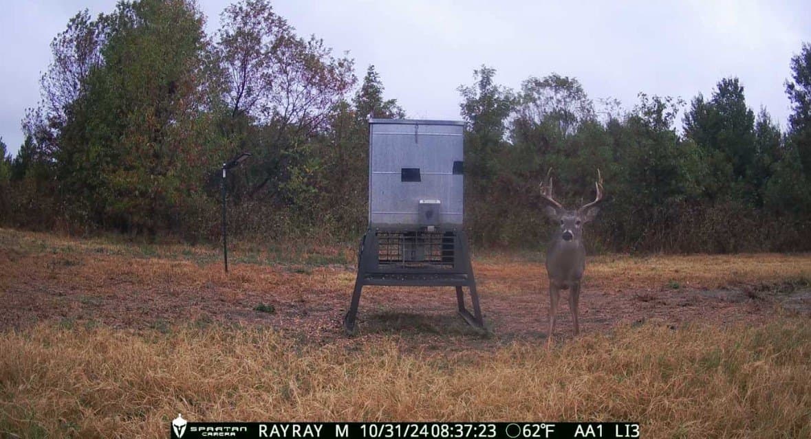 594.65 acres in Lamar County - photo 32