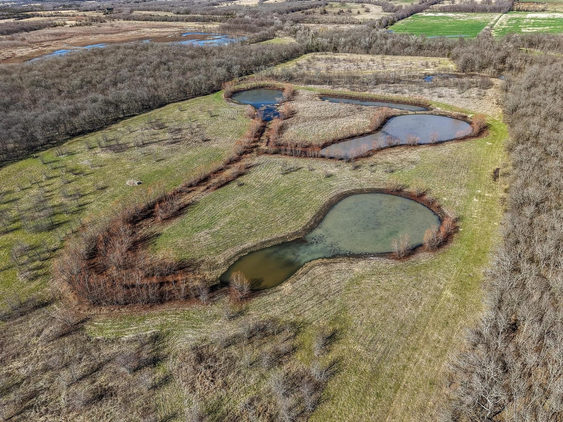 594.65 acres in Lamar County - photo 30