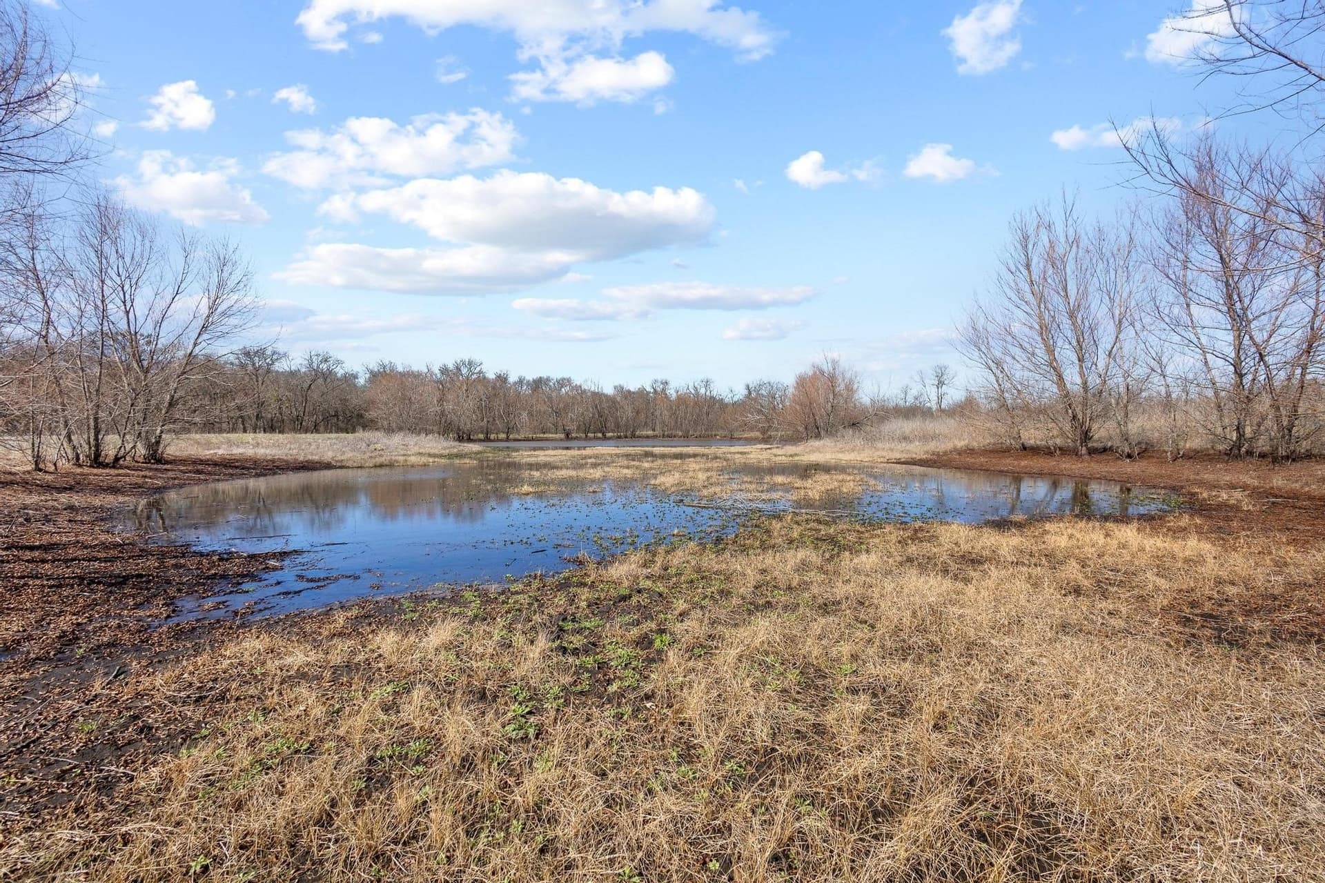 594.65 acres in Lamar County - photo 24
