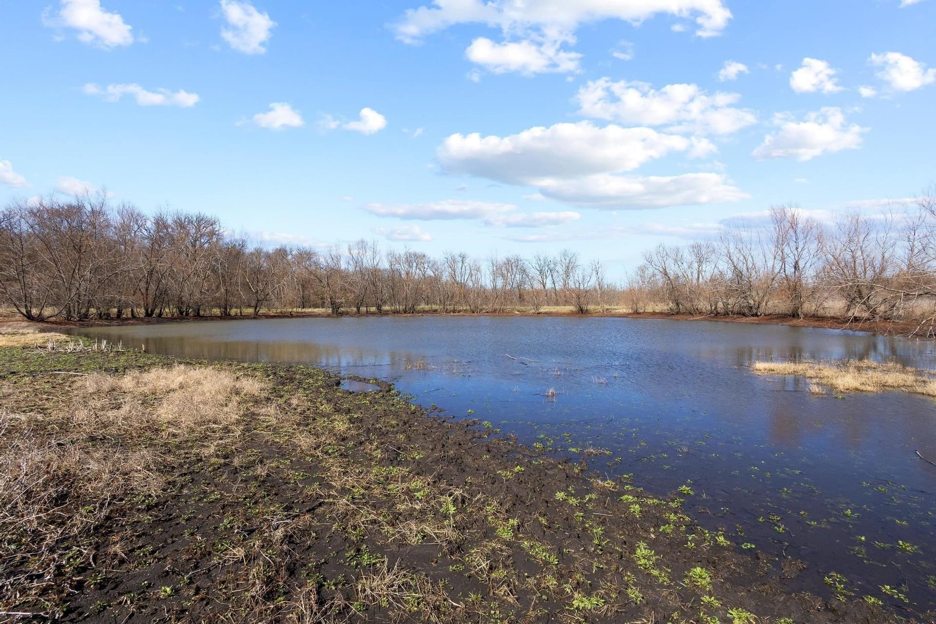 594.65 acres in Lamar County - photo 23