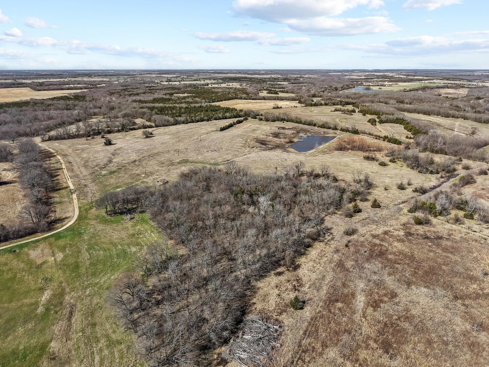 594.65 acres in Lamar County - photo 13