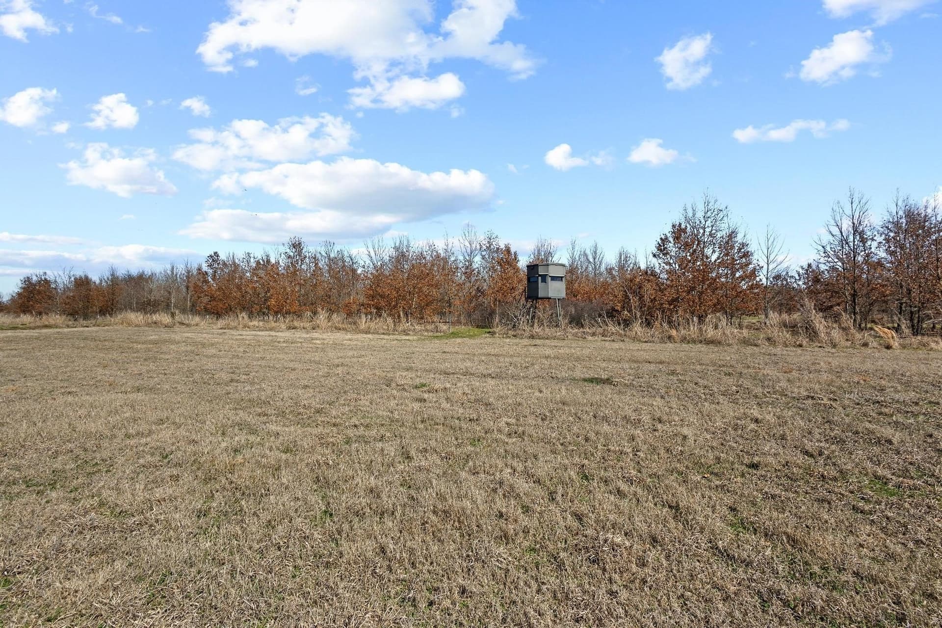 594.65 acres in Lamar County - photo 17