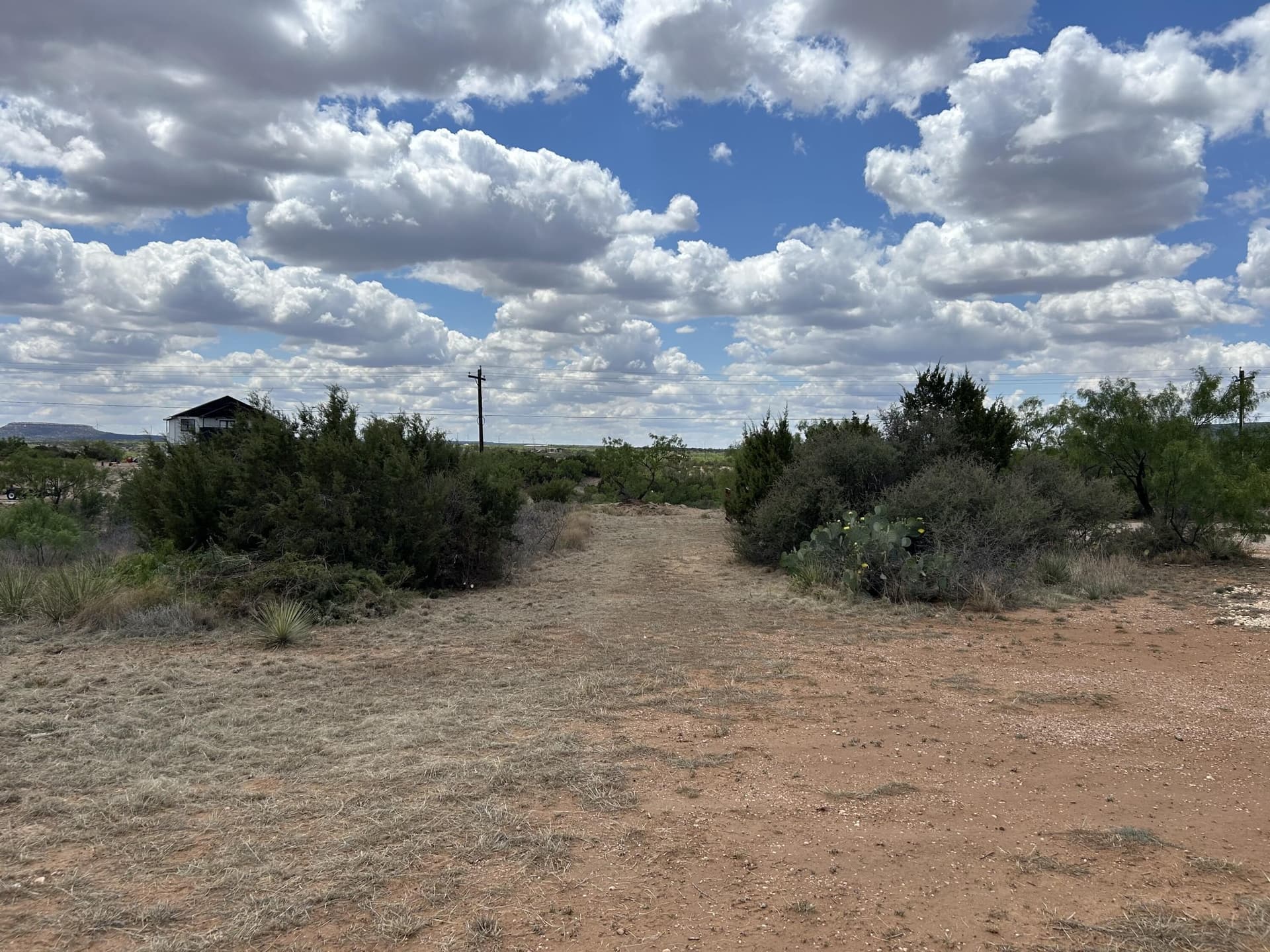 4 acres in Kent County featured view