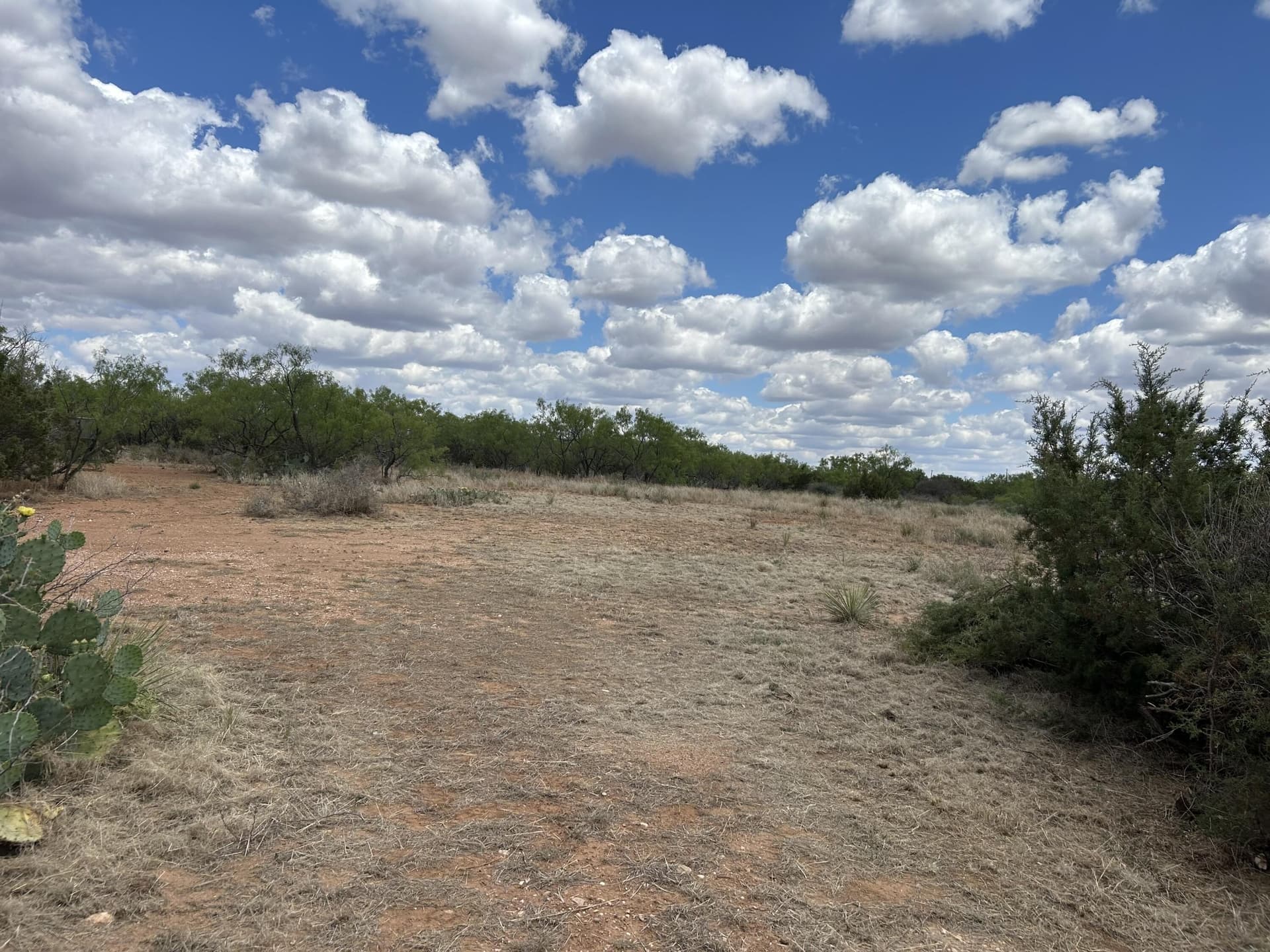 4 acres in Kent County