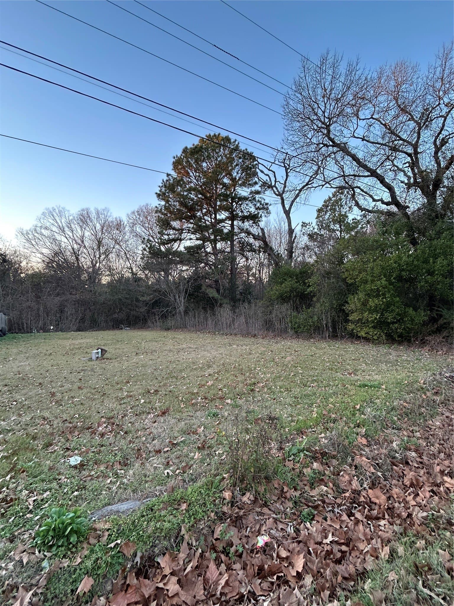 2.79 acres in Henderson County - photo 3