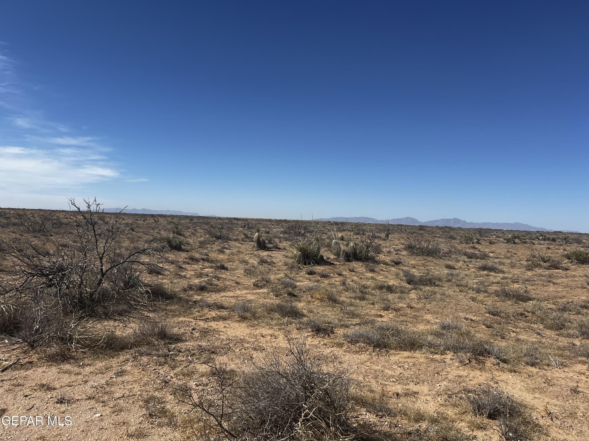 0.31 acres in El Paso County gallery image 2