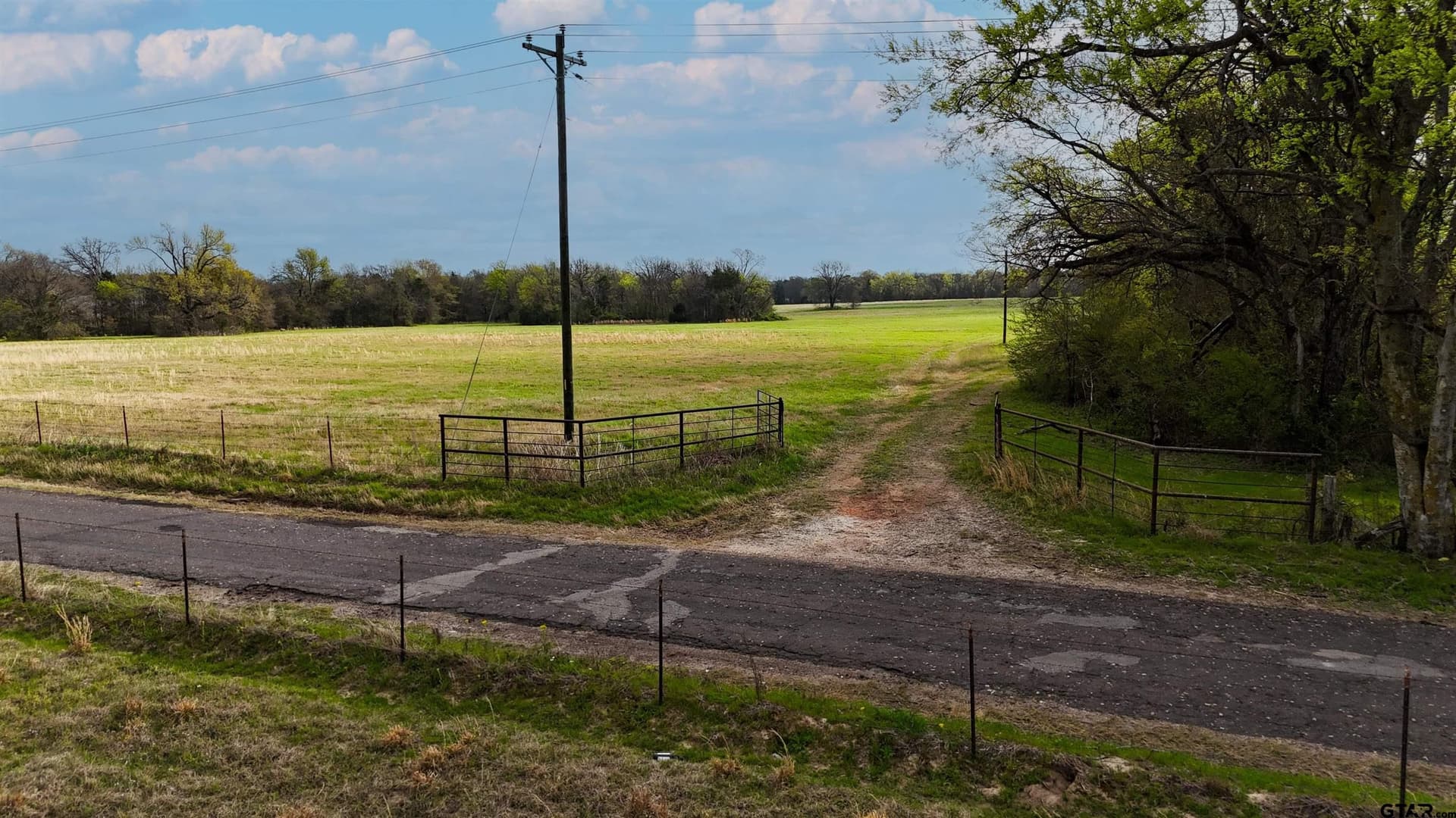 32 acres in Rains County - photo 4