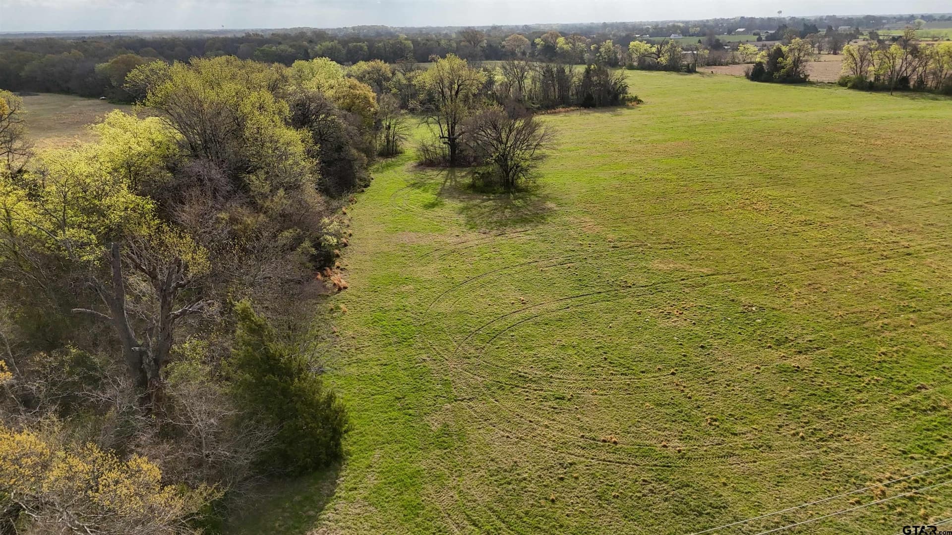 32 acres in Rains County - photo 7