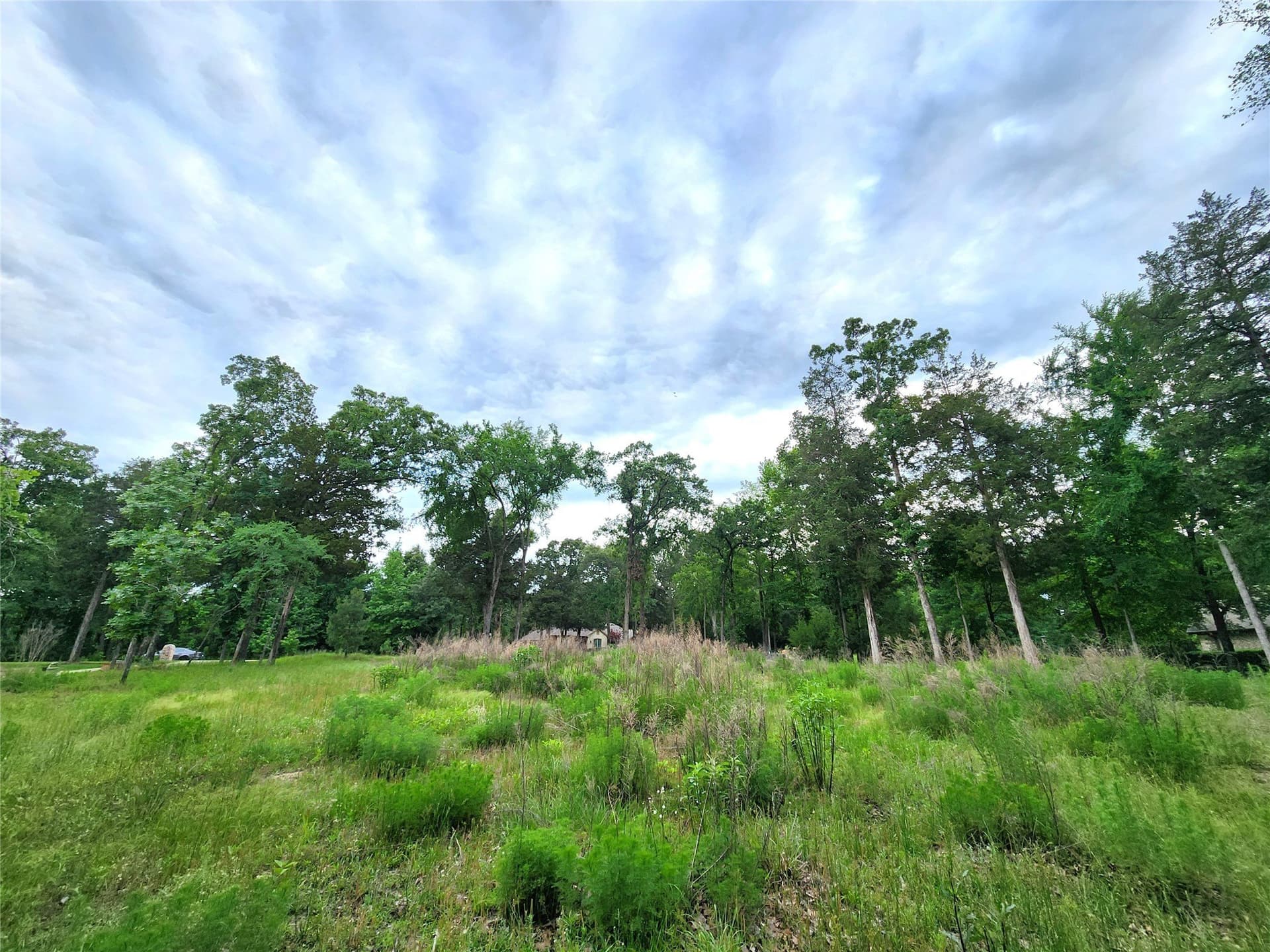 1.07 acres in Henderson County - photo 22