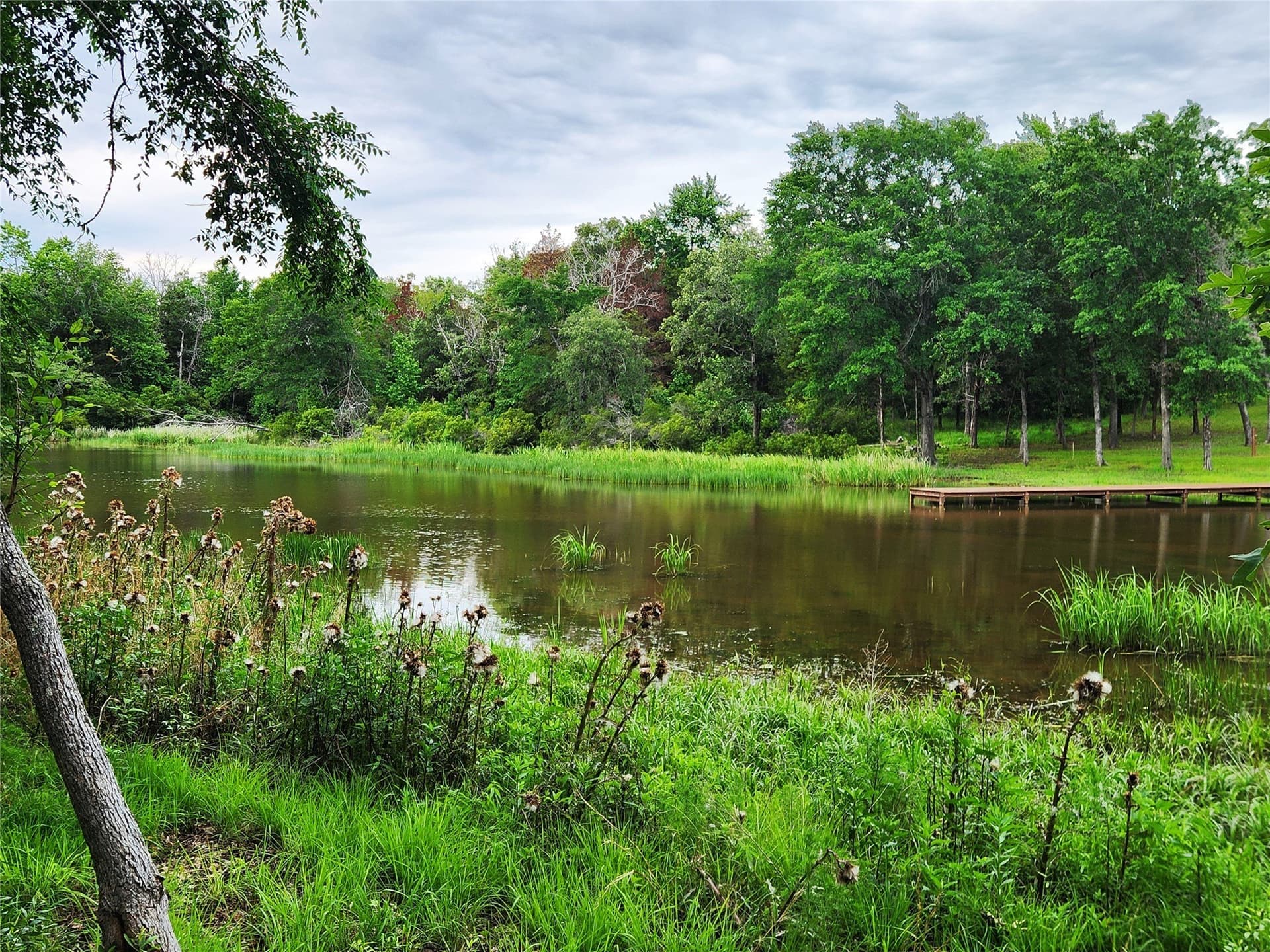 1.07 acres in Henderson County - photo 20