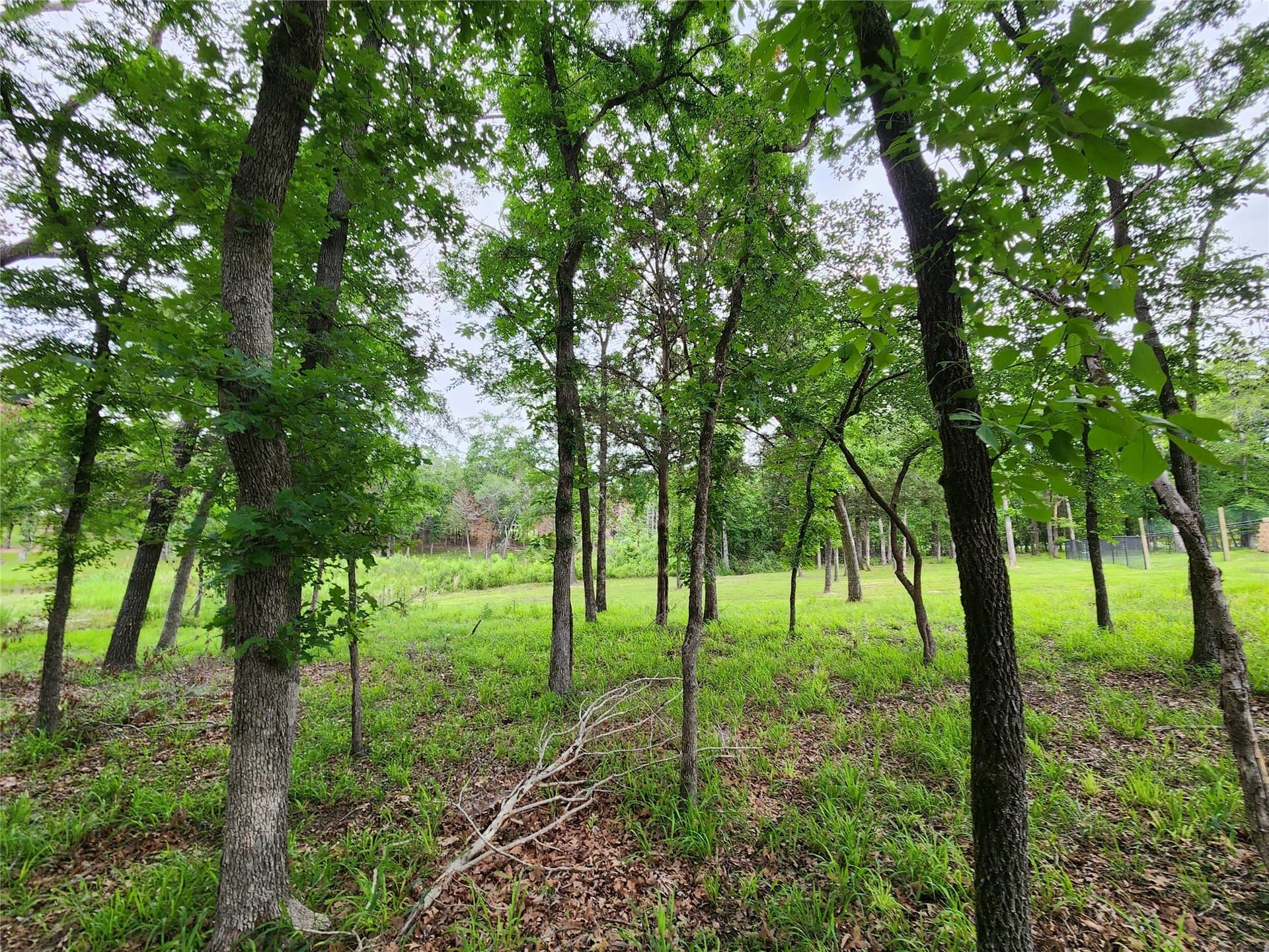 1.07 acres in Henderson County - photo 25