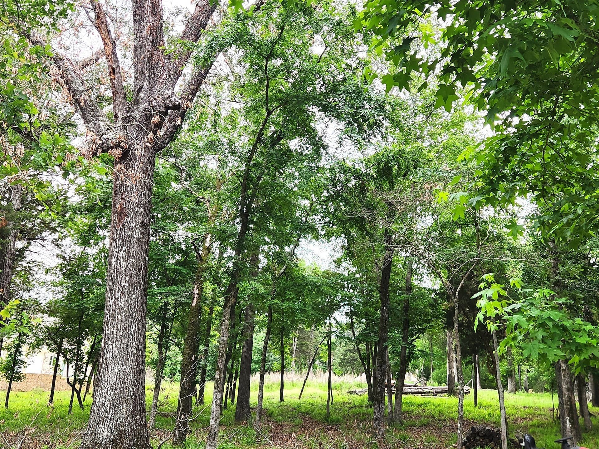 1.07 acres in Henderson County - photo 38