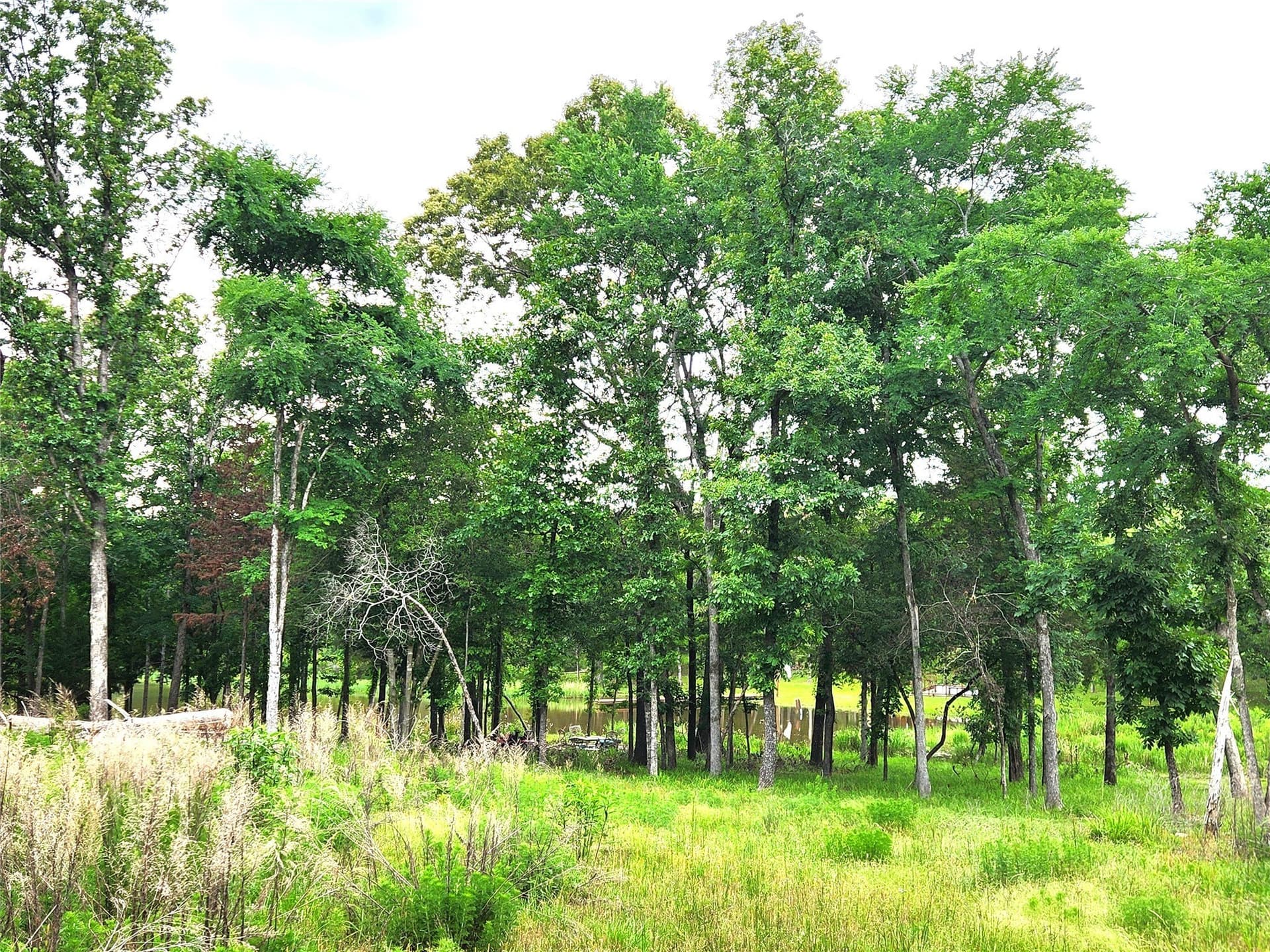 1.07 acres in Henderson County - photo 13