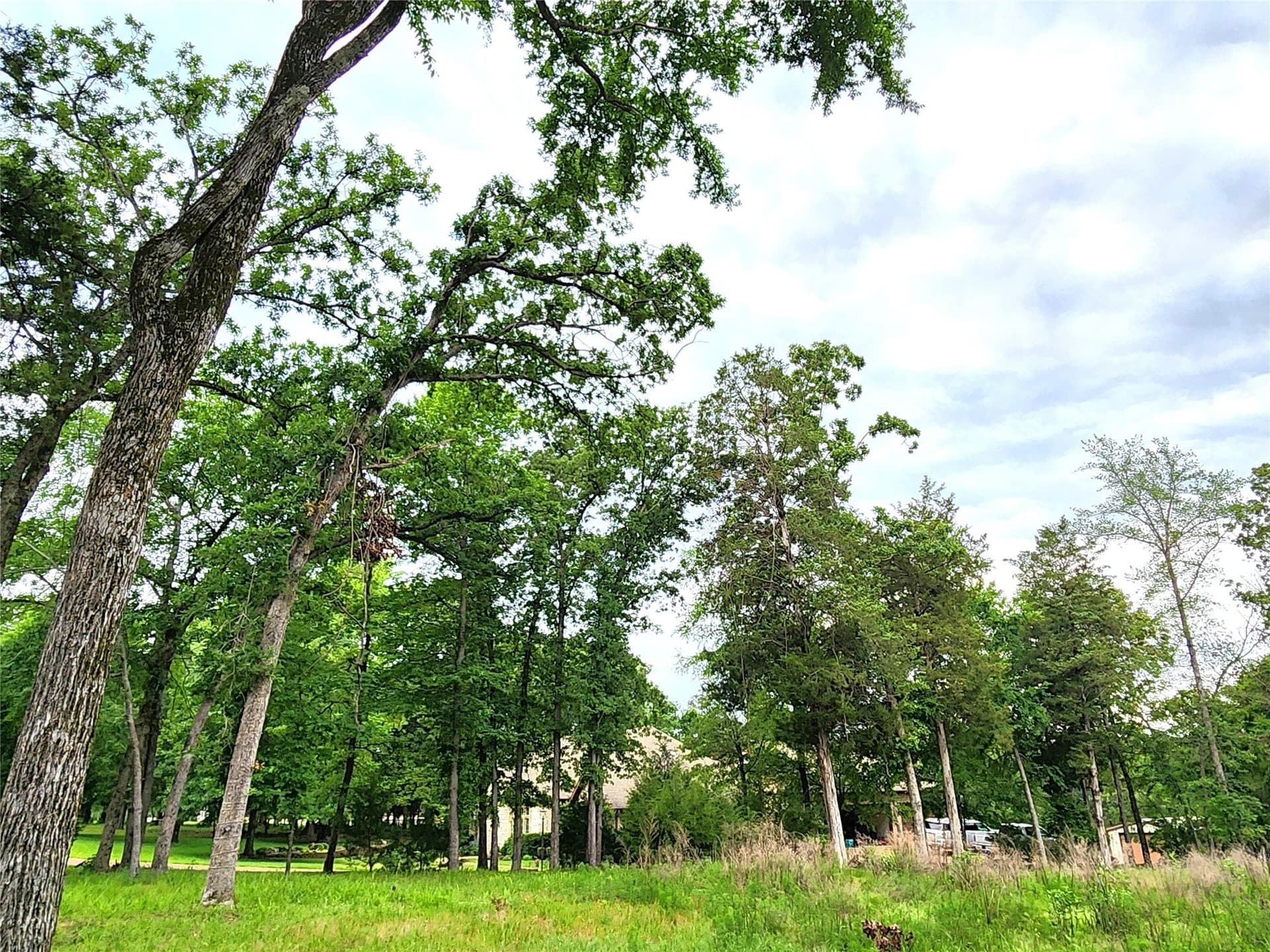 1.07 acres in Henderson County - photo 14