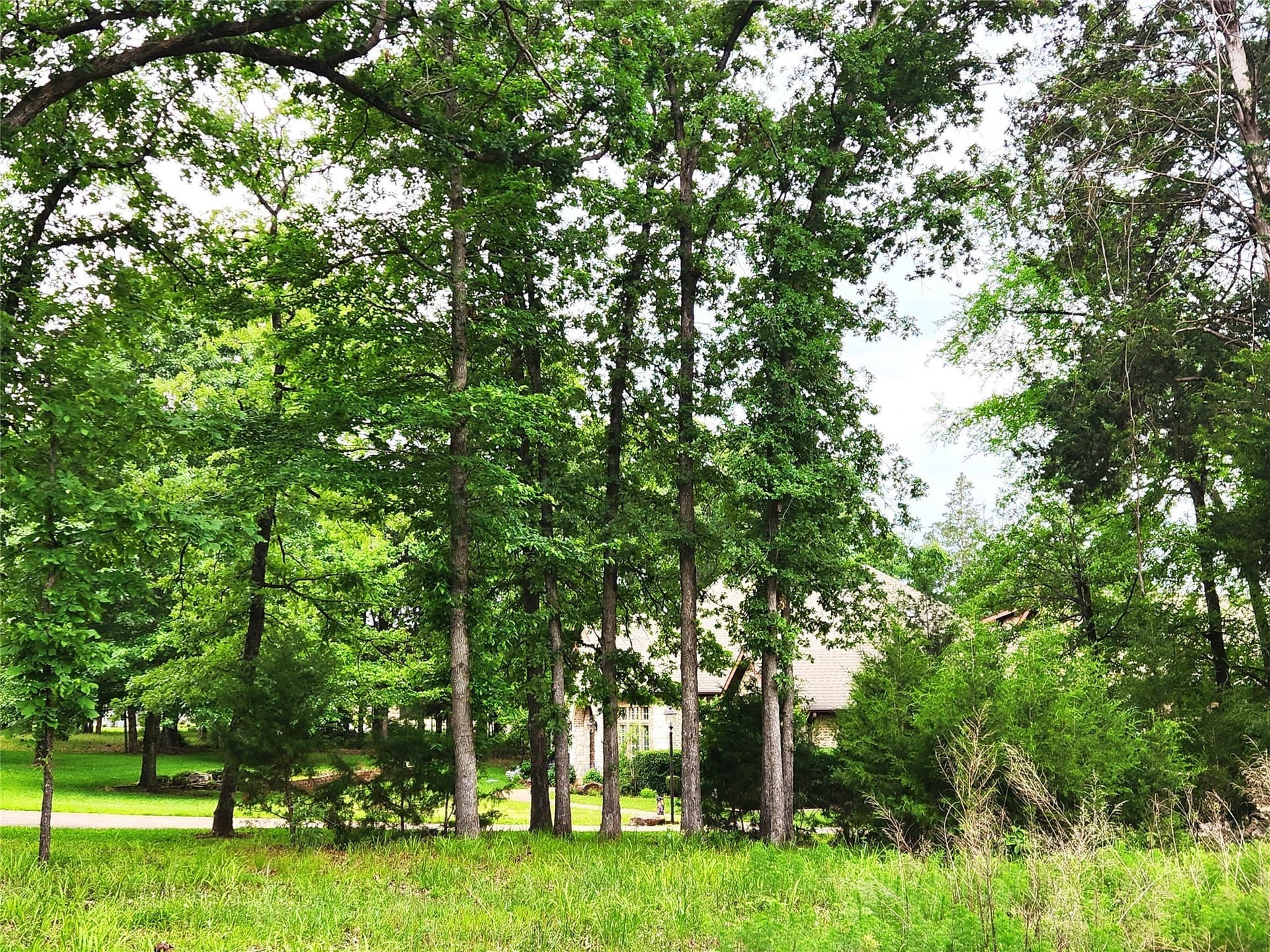 1.07 acres in Henderson County - photo 17