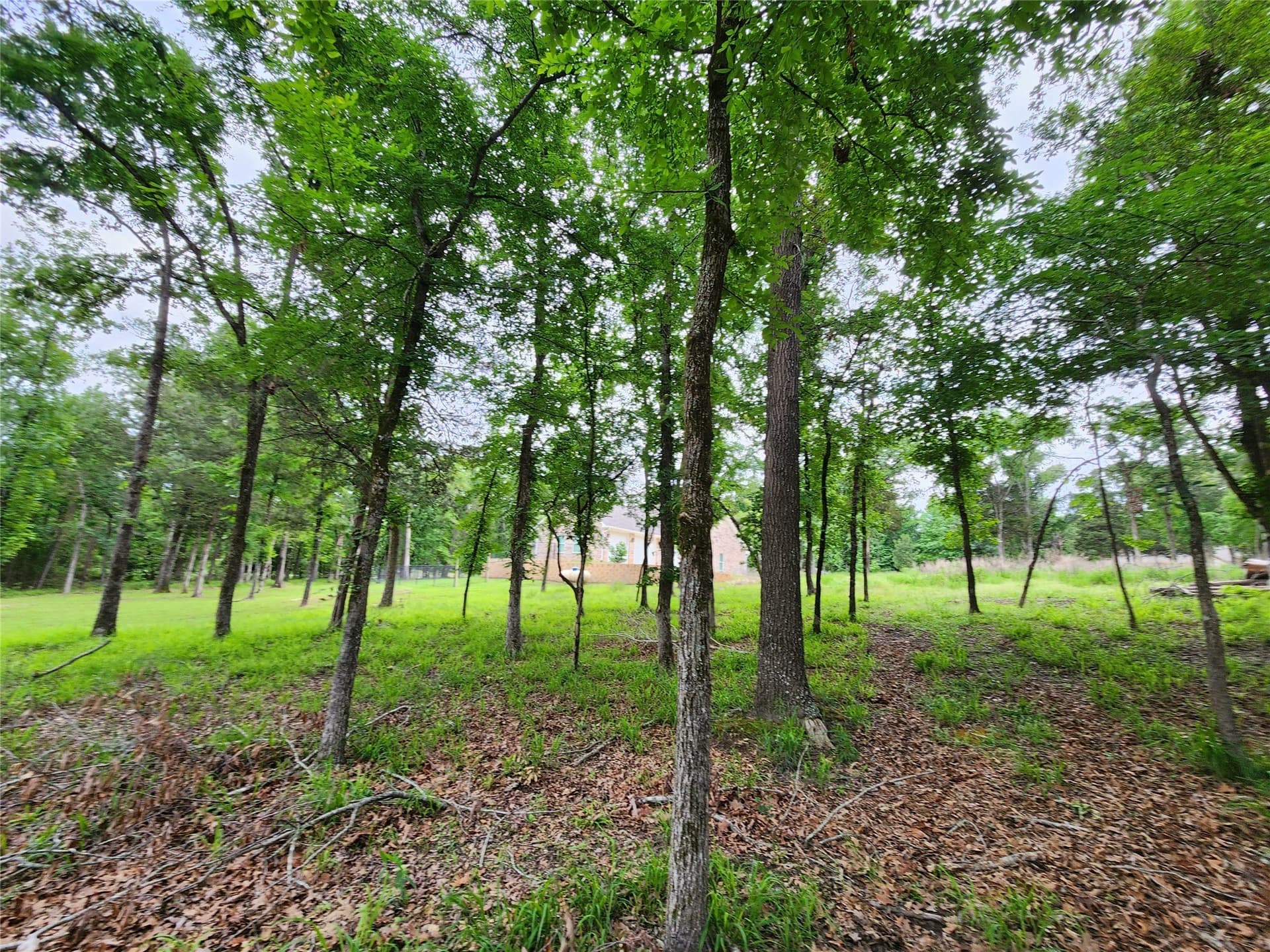 1.07 acres in Henderson County - photo 30