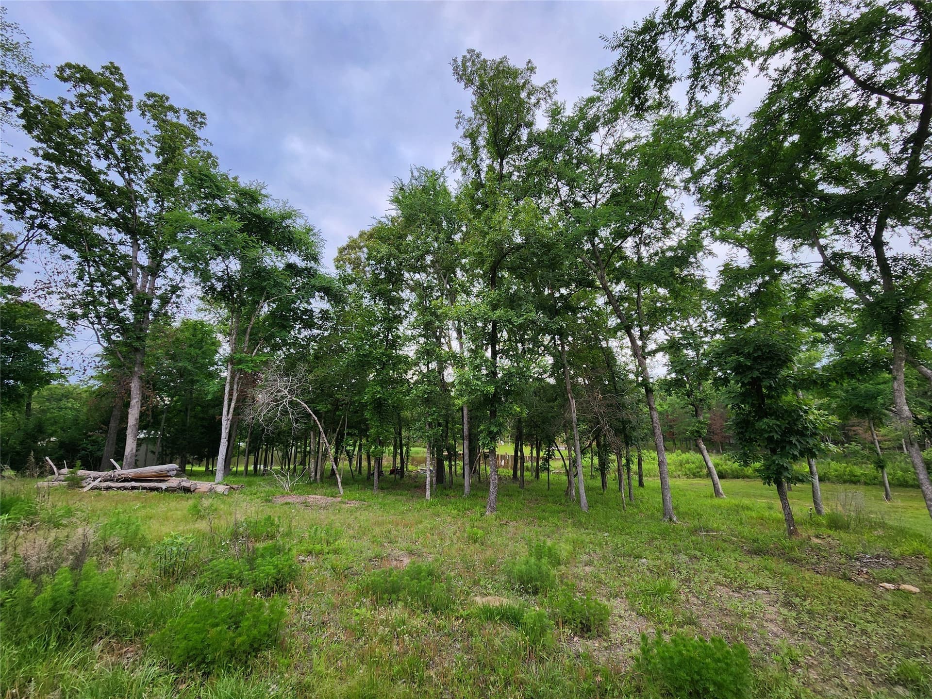 1.07 acres in Henderson County - photo 21