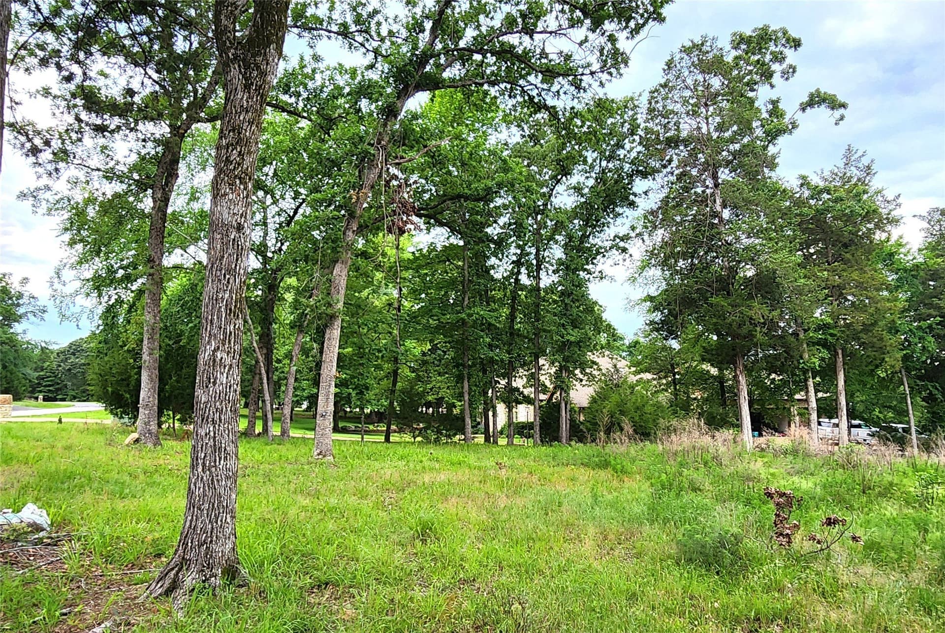 1.07 acres in Henderson County - photo 7