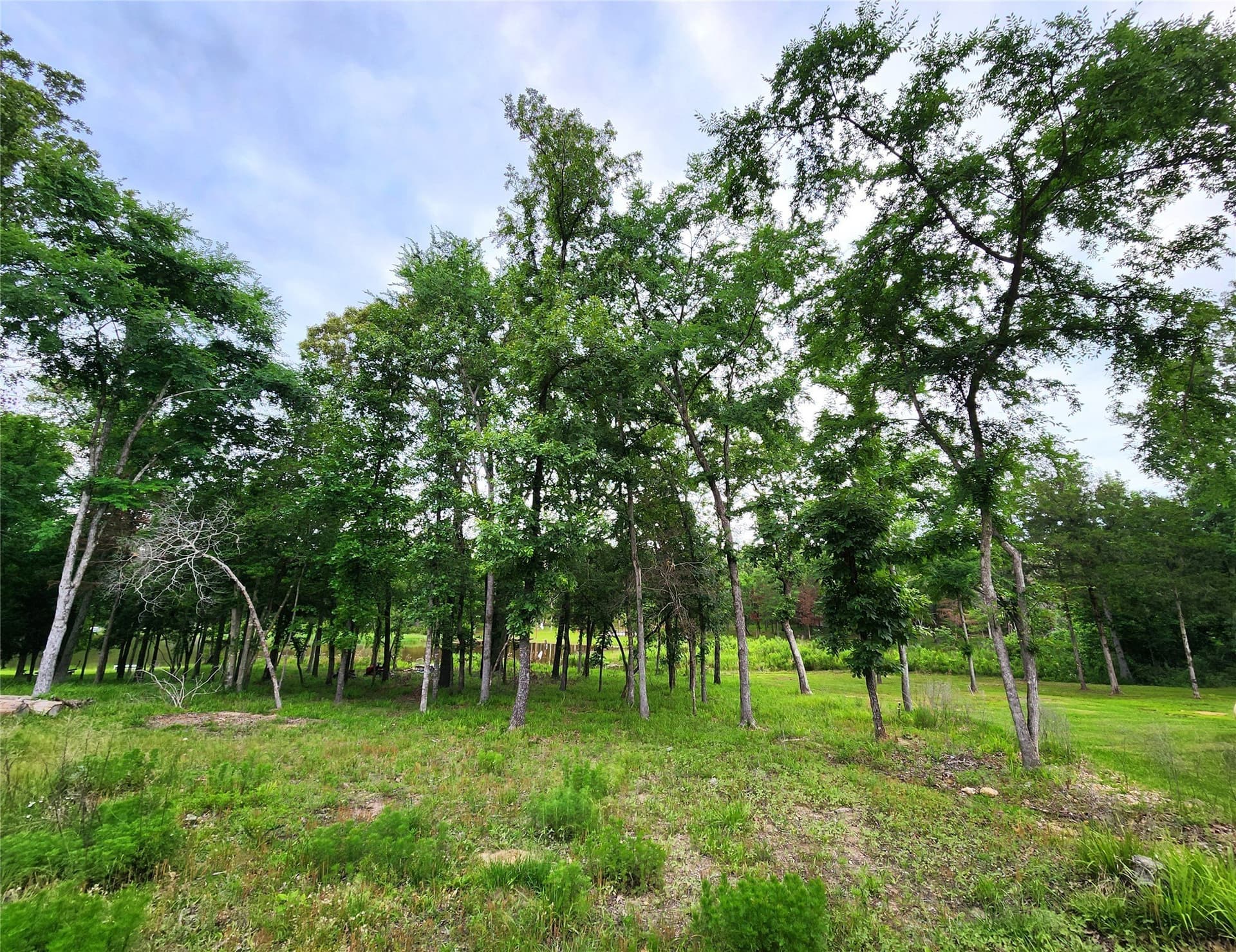 1.07 acres in Henderson County - photo 9